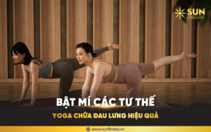 tư thế yoga chữa đau lưng