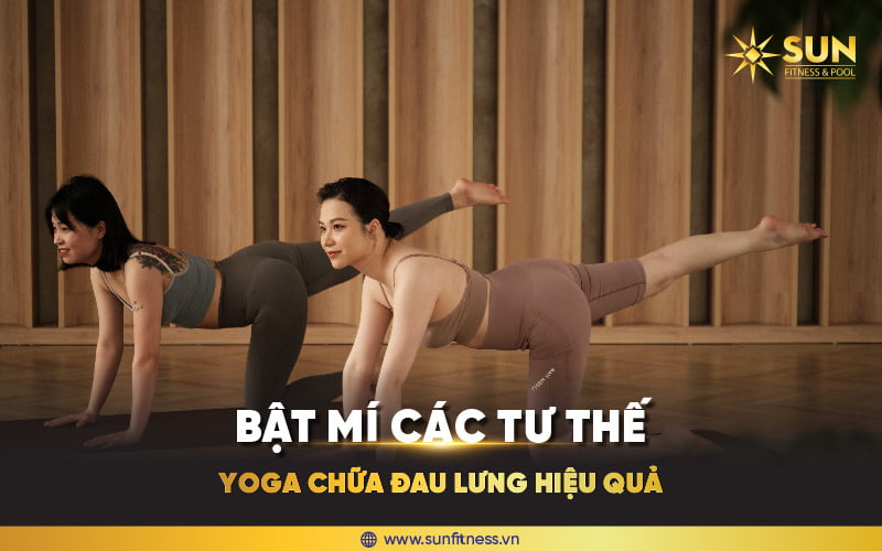 tư thế yoga chữa đau lưng