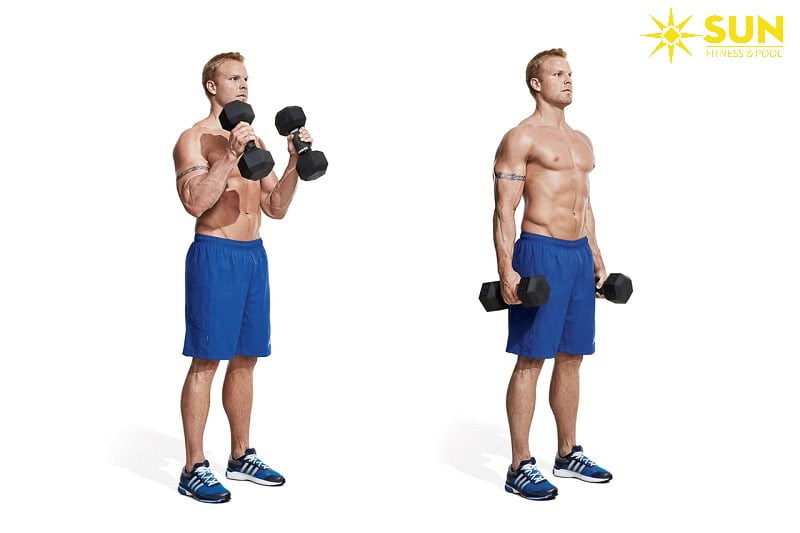 Bài tập với tạ đơn giúp phát triển cơ tay sau hiệu quả