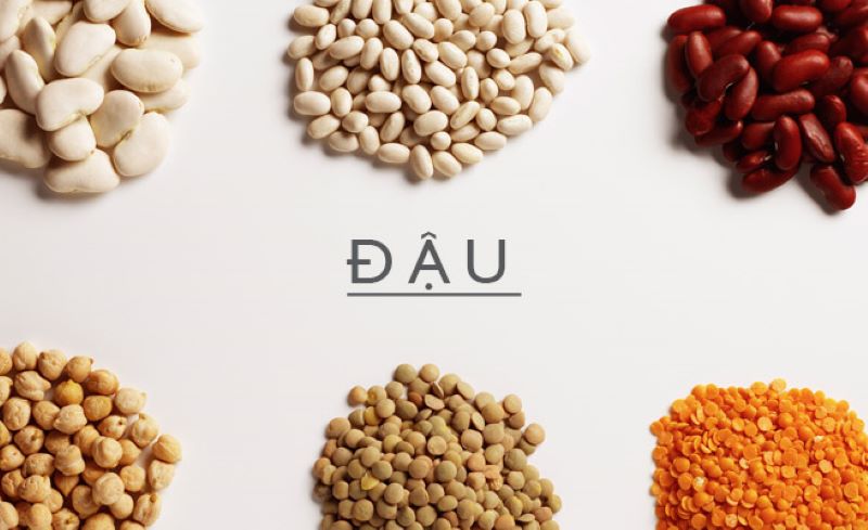 Các loại đậu cung cấp rất nhiều protein