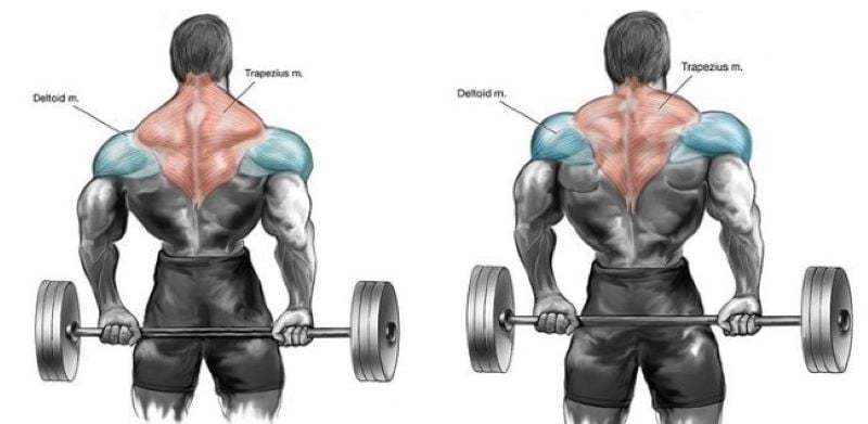 Cách thực hiện đúng động tác Barbell Shrugs Behind The Back