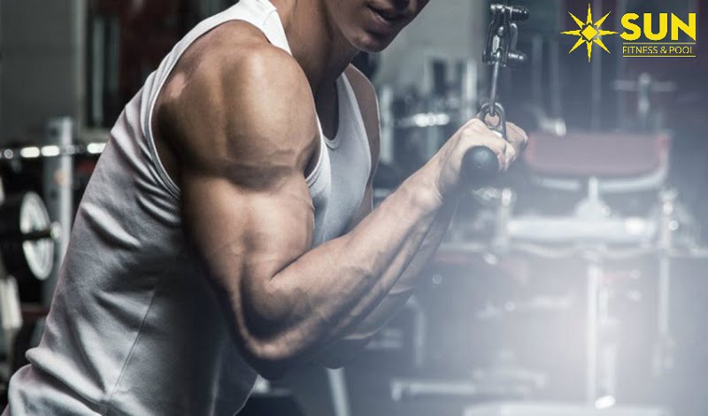 Cơ tay sau có ý nghĩa quan trọng với người tập thể hình