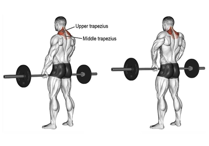 Kỹ thuật Barbell Shrugs