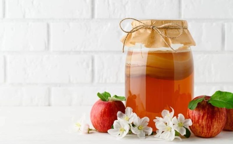 Trà Kombucha sản sinh ra nhiều lợi khuẩn có lợi cho sức khỏe