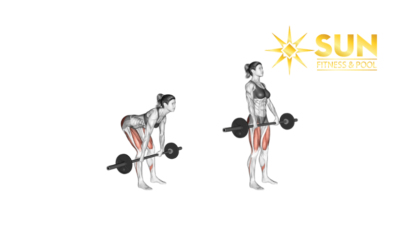 Romanian Deadlift là bài tập phát triển toàn bộ cơ ở mặt sau cơ thể 
