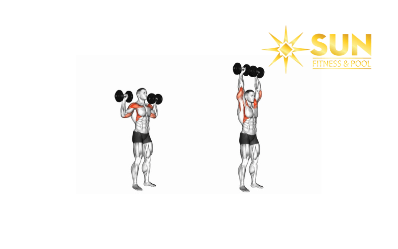 Shoulder Press là động tác tối ưu cho cơ vai 