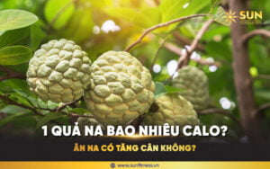 Na bao nhiêu calo