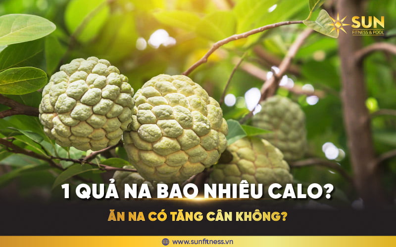 7. Cách bảo quản và chế biến na đúng cách