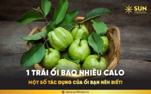 1 trái ổi bao nhiêu calo